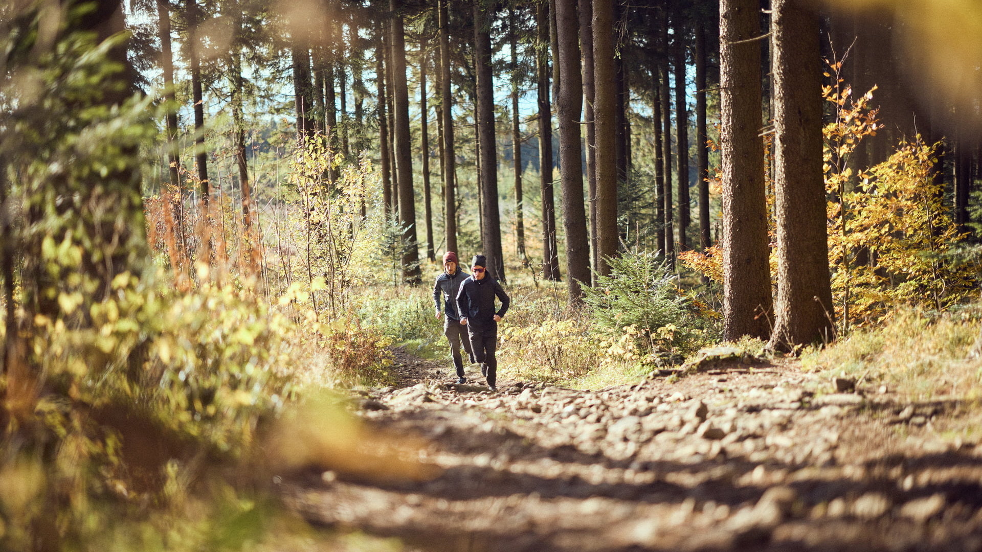 Die zwei Trailrunner-Brüder Innerhofer laufen auf einem Weg durch den Wald am Sternstein im Oberösterreichischen Mühlviertel